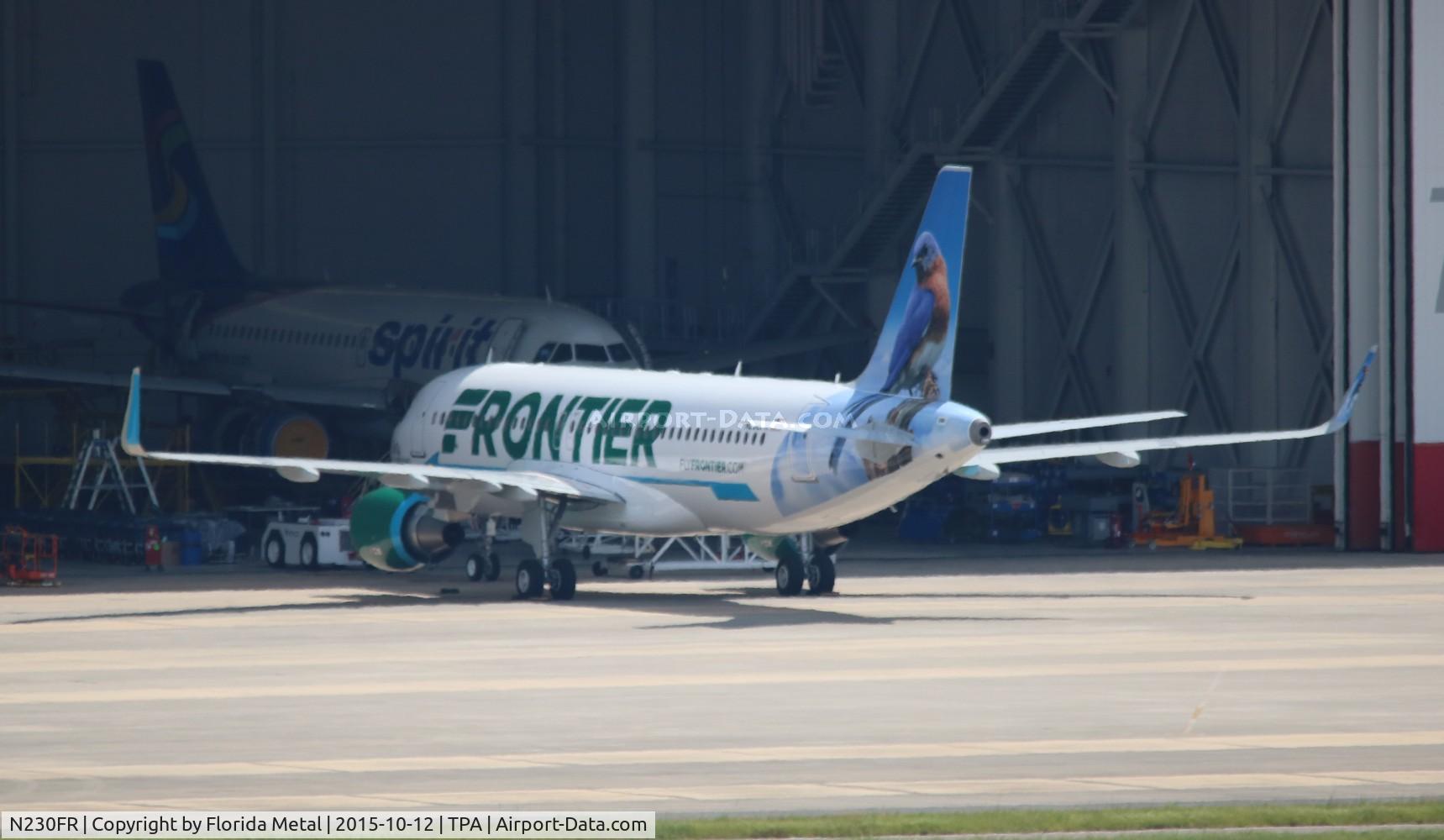 N230FR, 2015 Airbus A320-214 C/N 6773, Betty the Blue Bird