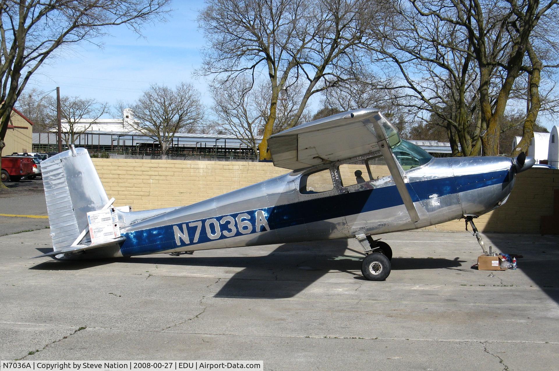 N7036A, 1956 Cessna 172 C/N 29136, Locally-based 1956 Cessna 172 minus nose wheel undergoing maintenance with Davis Air Repair @ University Airport, Davis, CA