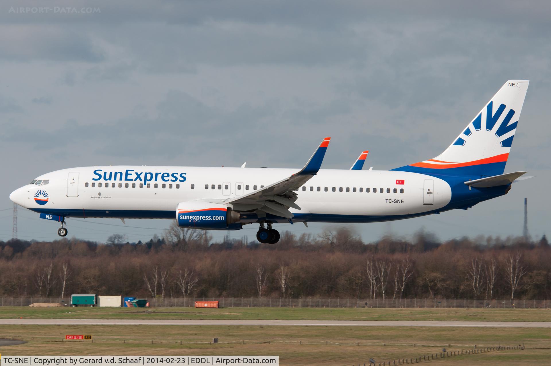 TC-SNE, 2008 Boeing 737-8HX C/N 29684, Düsseldorf, February 2014