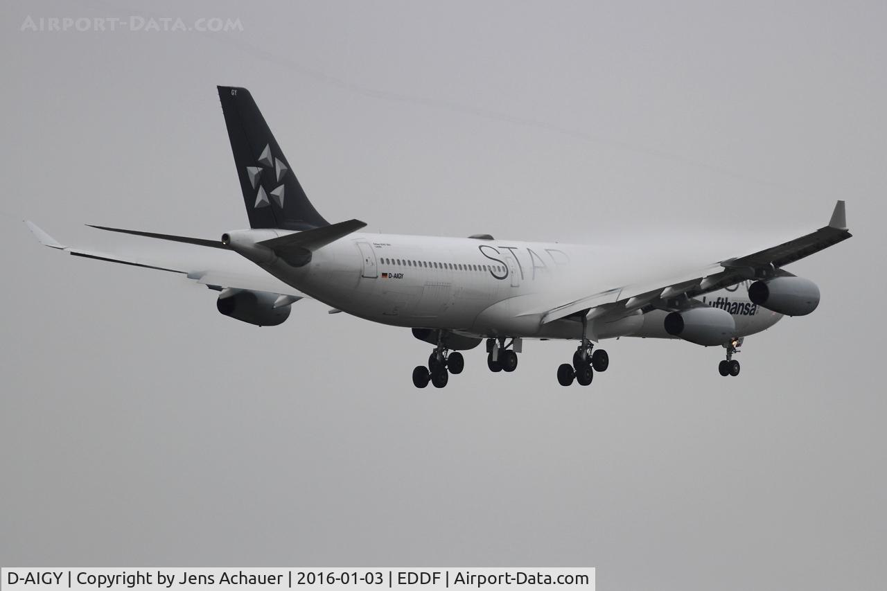 D-AIGY, 2000 Airbus A340-313 C/N 335, Arriving FRA