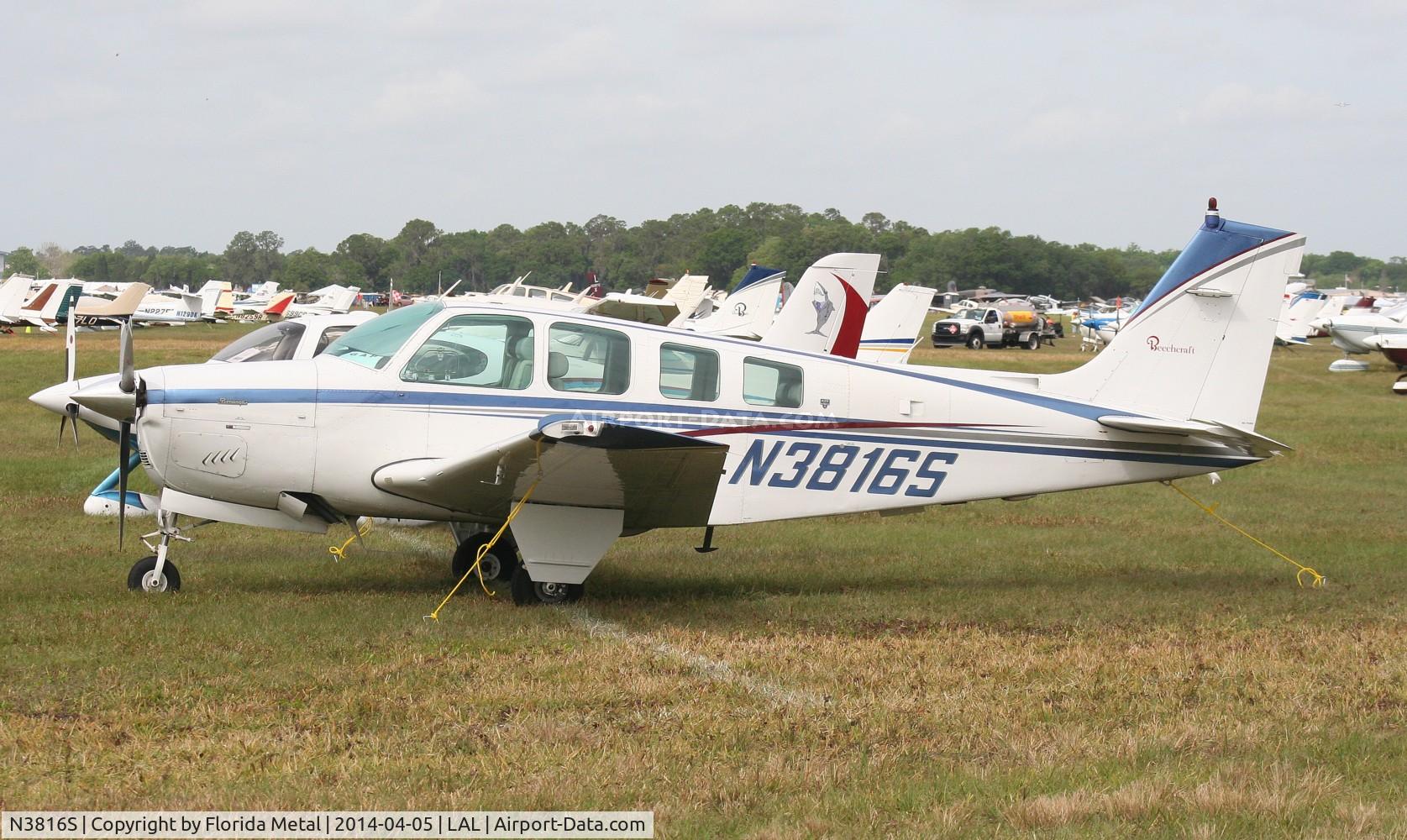 N3816S, 1981 Beech A36 Bonanza 36 C/N E-1806, Beech A36