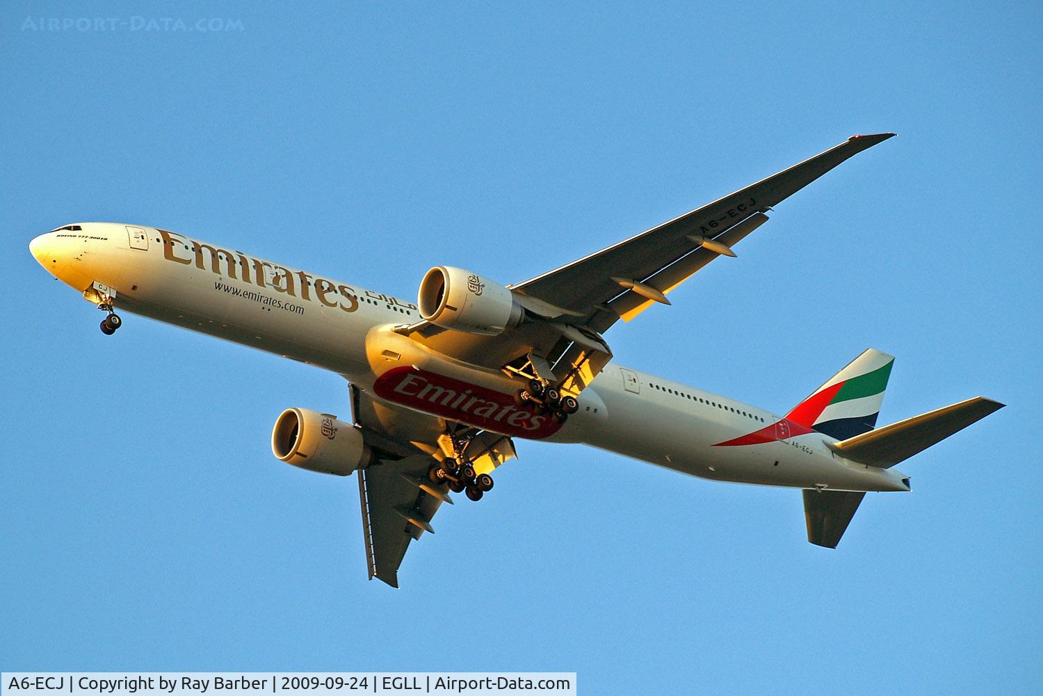 A6-ECJ, 2008 Boeing 777-31H/ER C/N 35583, Boeing 777-31HER [35583] (Emirates Airlines) Home~G 24/09/2009. On approach 27R.