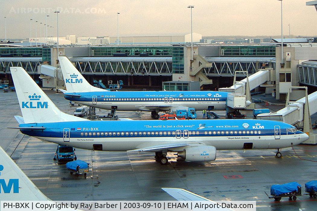 PH-BXK, 2000 Boeing 737-8K2 C/N 29598, Boeing 737-8K2 [29598] (KLM-Royal Dutch Airlines) Amsterdam-Schiphol~PH 10/09/2003