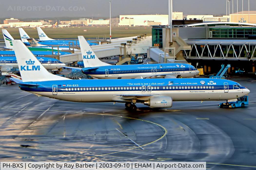 PH-BXS, 2001 Boeing 737-9K2 C/N 29602, Boeing 737-9K2 [29602] (KLM-Royal Dutch Airlines) Amsterdam-Schiphol~PH 10/09/2003