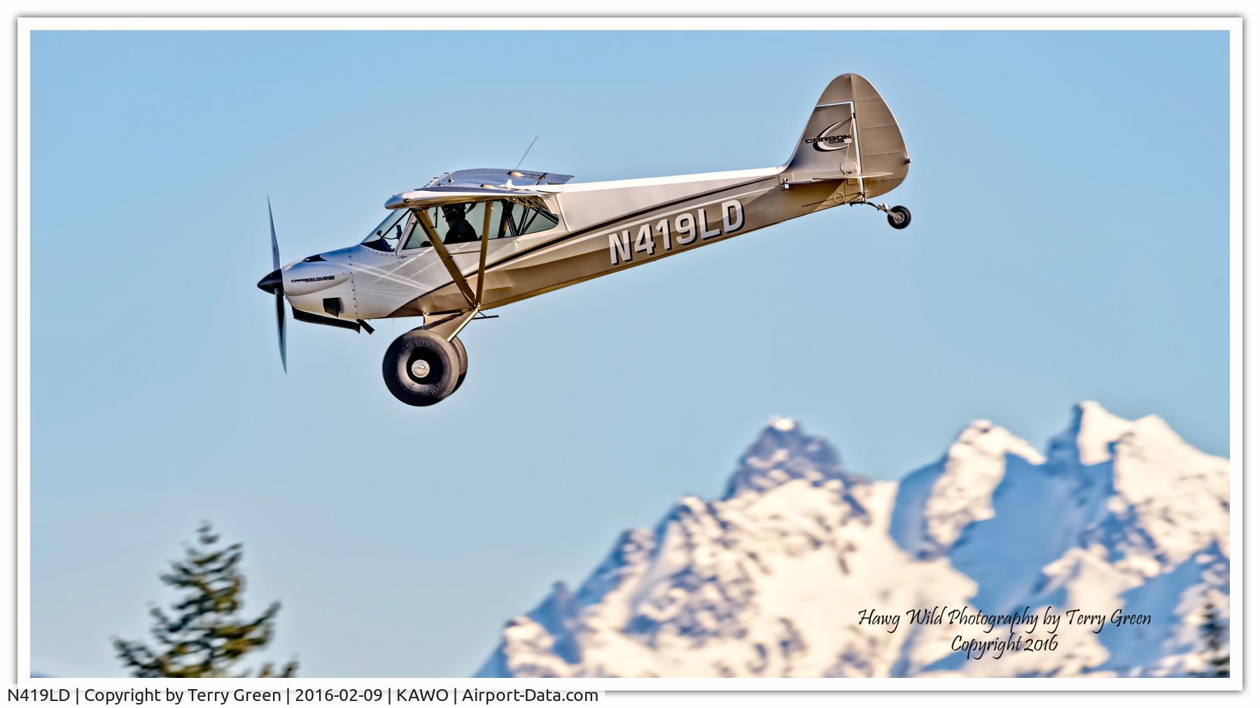 N419LD, 2015 Cub Crafters CCK-1865 Carbon Cub C/N CCK-1865-0084, KAWO