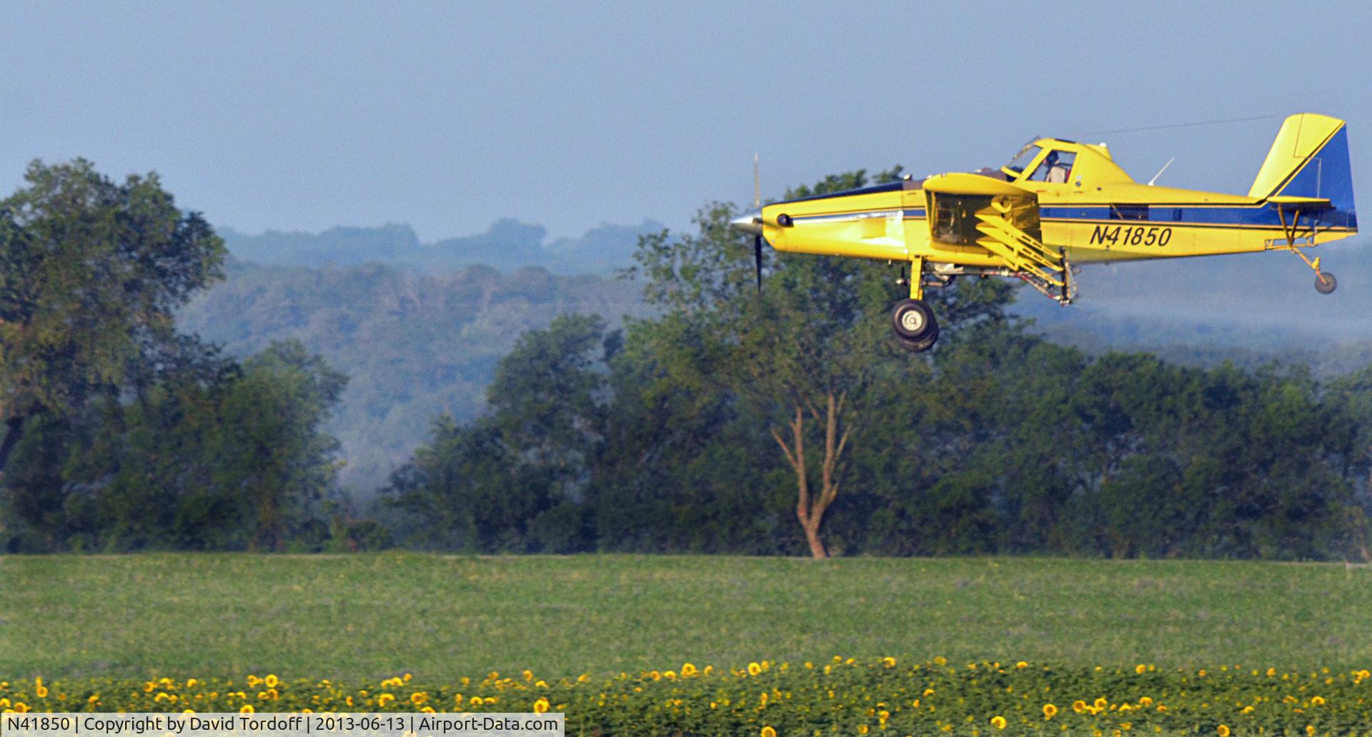N41850, Air Tractor Inc AT-502B C/N 502B-2703, Spraying sunflowers just north of Waco, Texas.