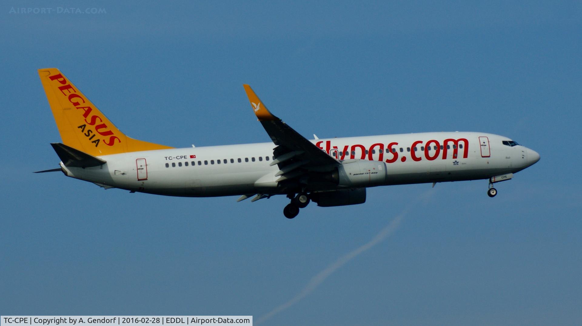 TC-CPE, 2012 Boeing 737-82R C/N 38178, Pegasus (Asia ttl.), is here landing at Düsseldorf Int'l(EDDl)