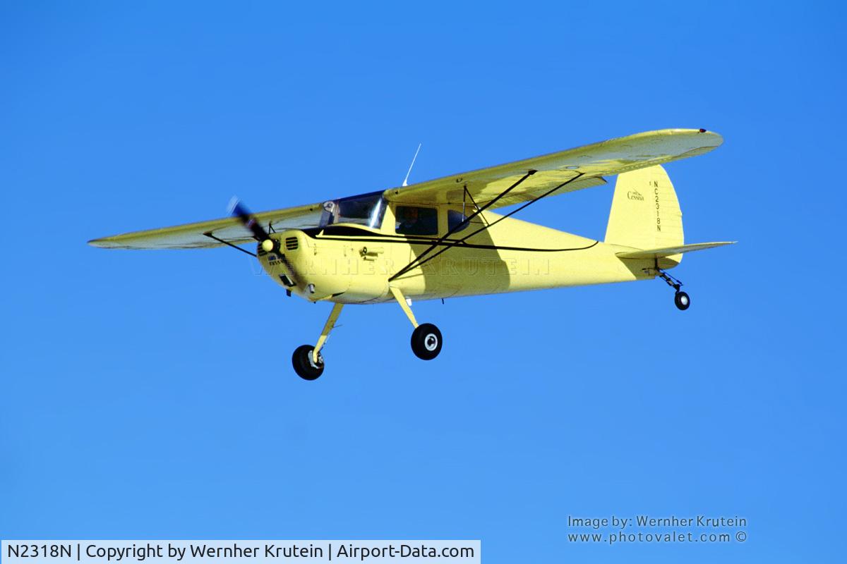 N2318N, 1947 Cessna 140 C/N 12558, N2318N in flight