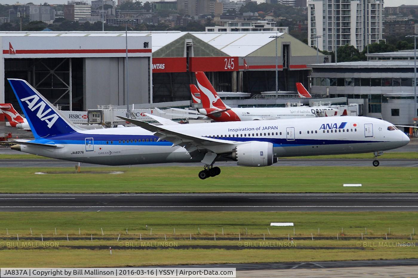 JA837A, 2015 Boeing 787-9 Dreamliner C/N 34526, final to 16R from HND
