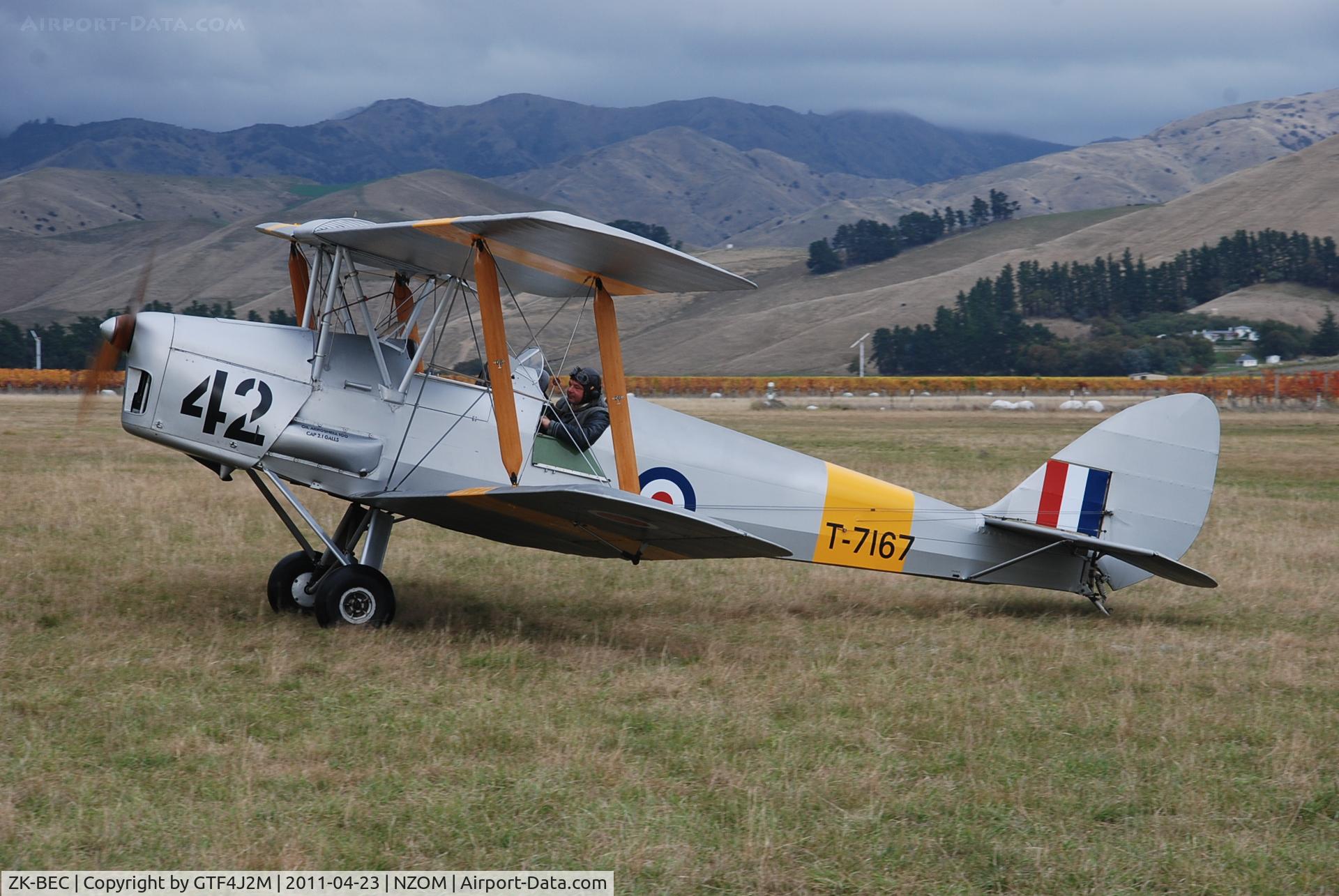 ZK-BEC, De Havilland DH-82A Tiger Moth II C/N 83626, ZK-BEC 'T7167 :42' at Omaka Airshow 23.4.11