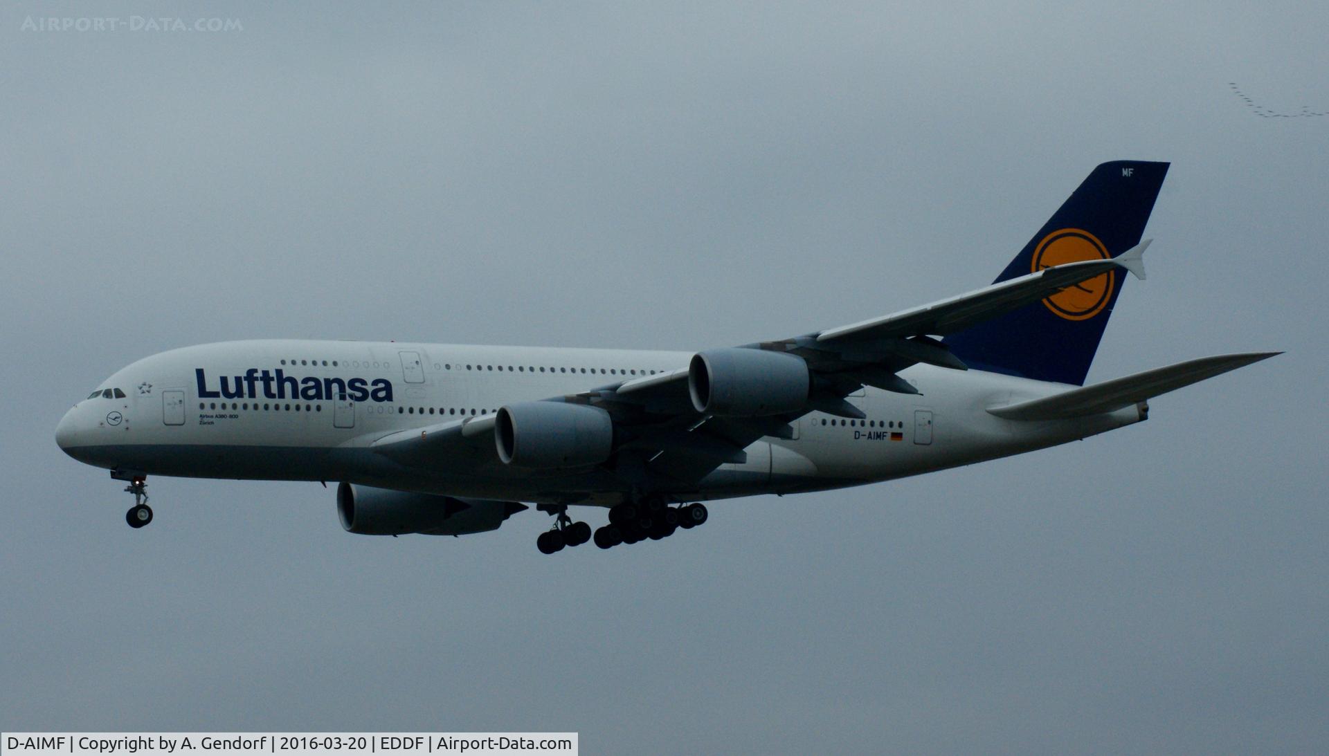 D-AIMF, 2011 Airbus A380-841 C/N 066, Lufthansa, is here on short finals RWY 25L at Frankfurt Rhein/Main(EDDF)