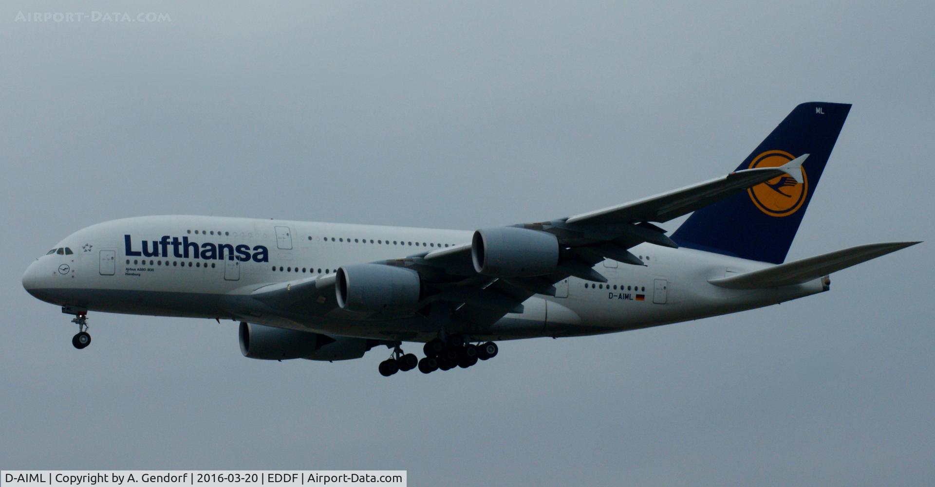 D-AIML, 2013 Airbus A380-841 C/N 149, Lufthansa, is here arriving at Frankfurt Rhein/Main(EDDF)