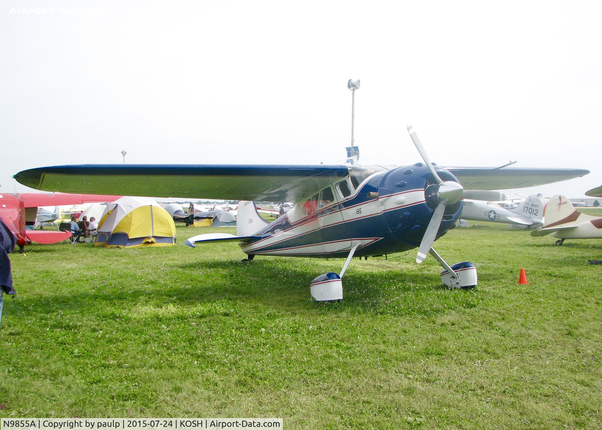 N9855A, 1950 Cessna 195A C/N 7548, At AirVenture.