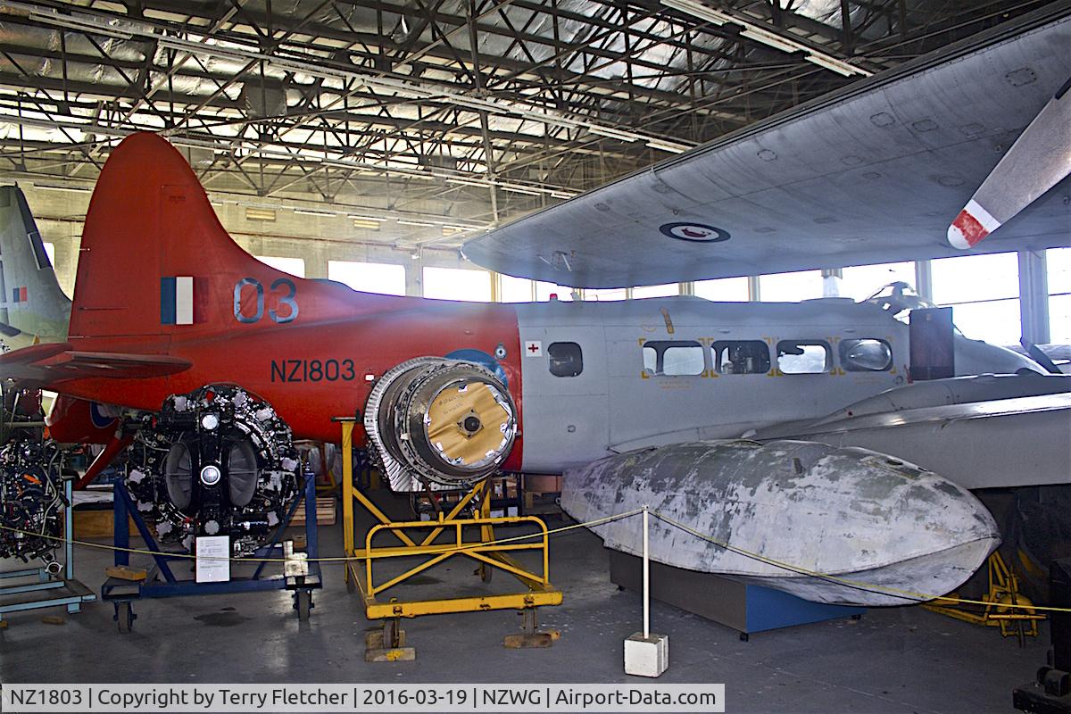 NZ1803, De Havilland DH-104 Devon C.1 C/N 04294, Preserved at the Air Force Museum of New Zealand at Wigram