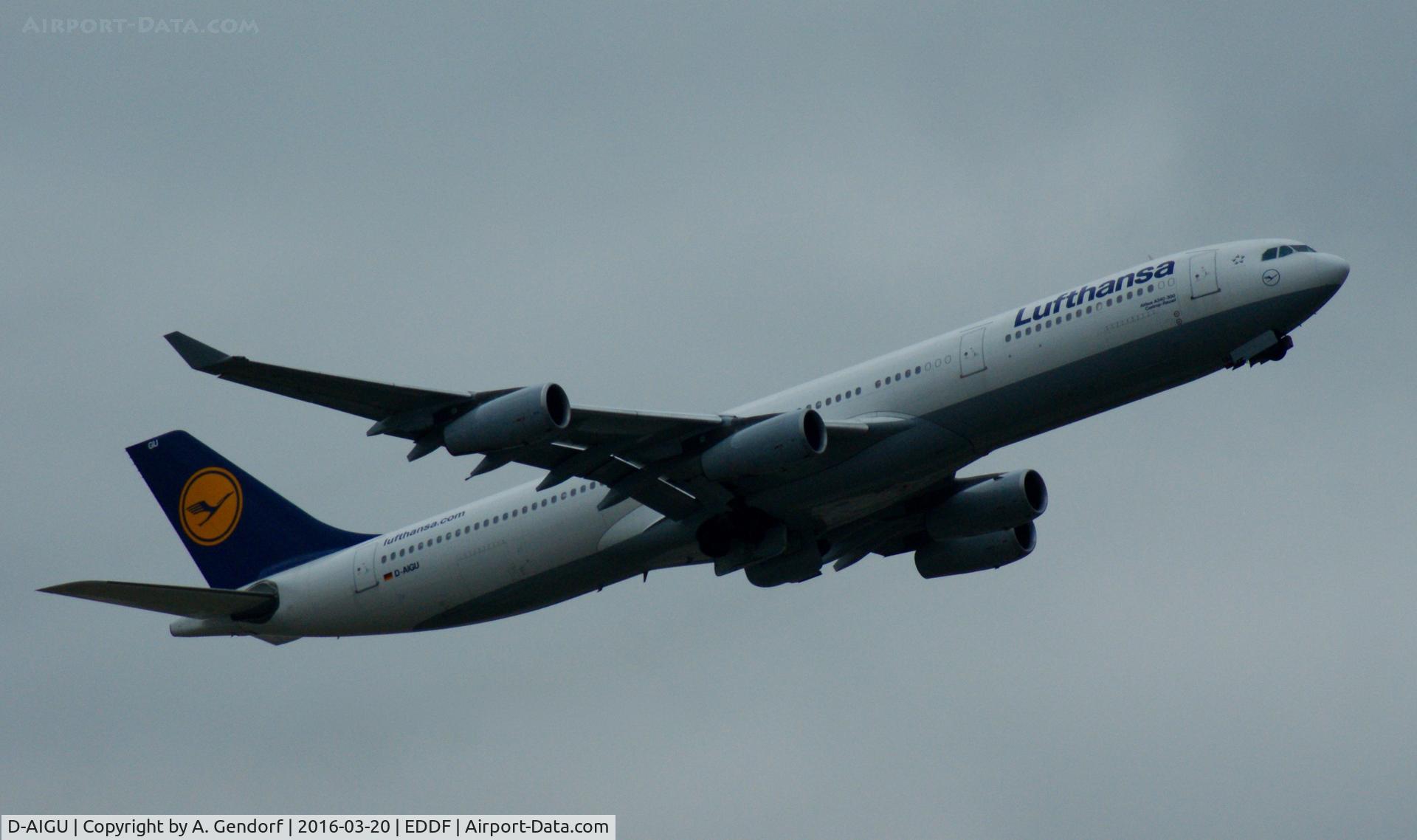 D-AIGU, 2000 Airbus A340-313 C/N 321, Lufthansa, seen here climbing out at Frankfurt Rhein/Main(EDDF)
