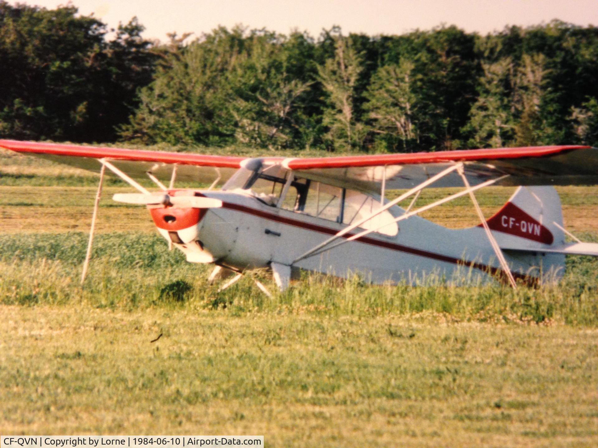 CF-QVN, 1946 Aeronca 7AC Champion C/N 7AC-2595, June 1984 near Schomberg Ontario