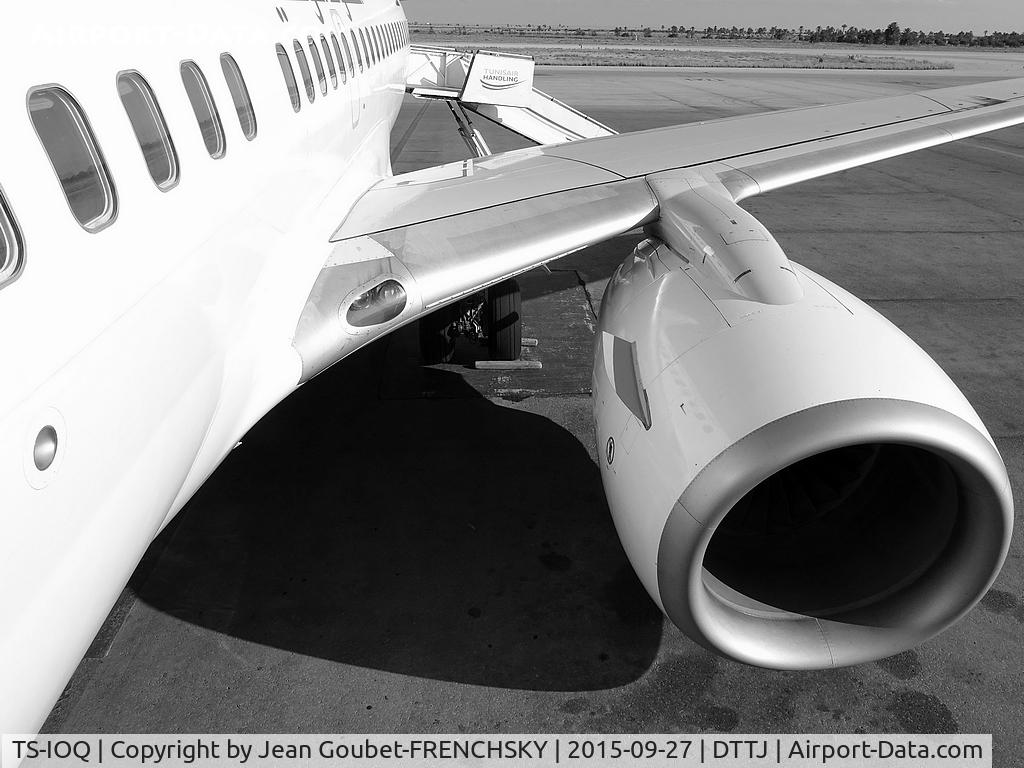 TS-IOQ, 2000 Boeing 737-6H3 C/N 29501, Bizerte to Tunis Carthage