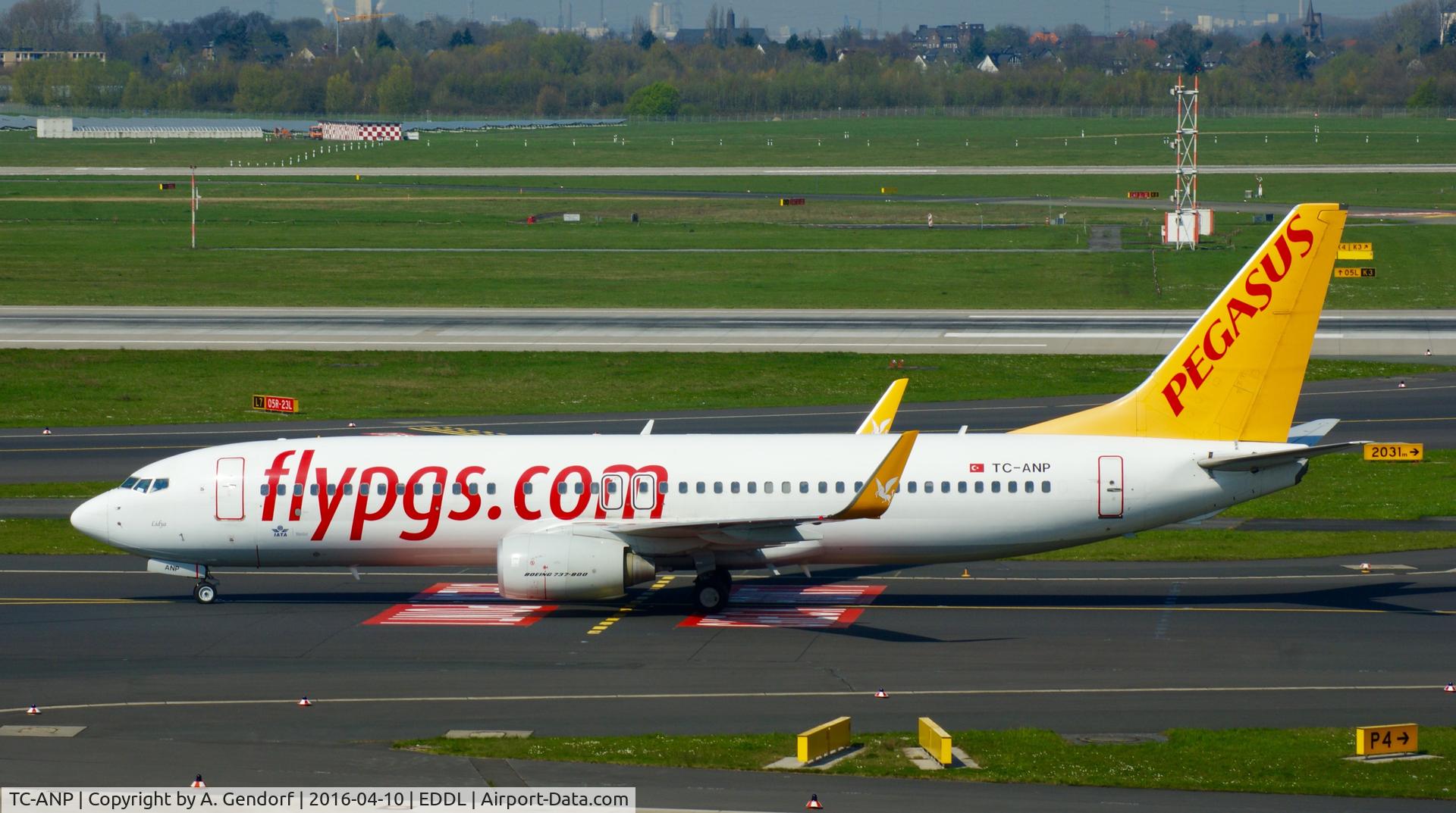 TC-ANP, 2011 Boeing 737-82R C/N 40722, Pegasus, is here taxiing at Düsseldorf Int'l(EDDL)