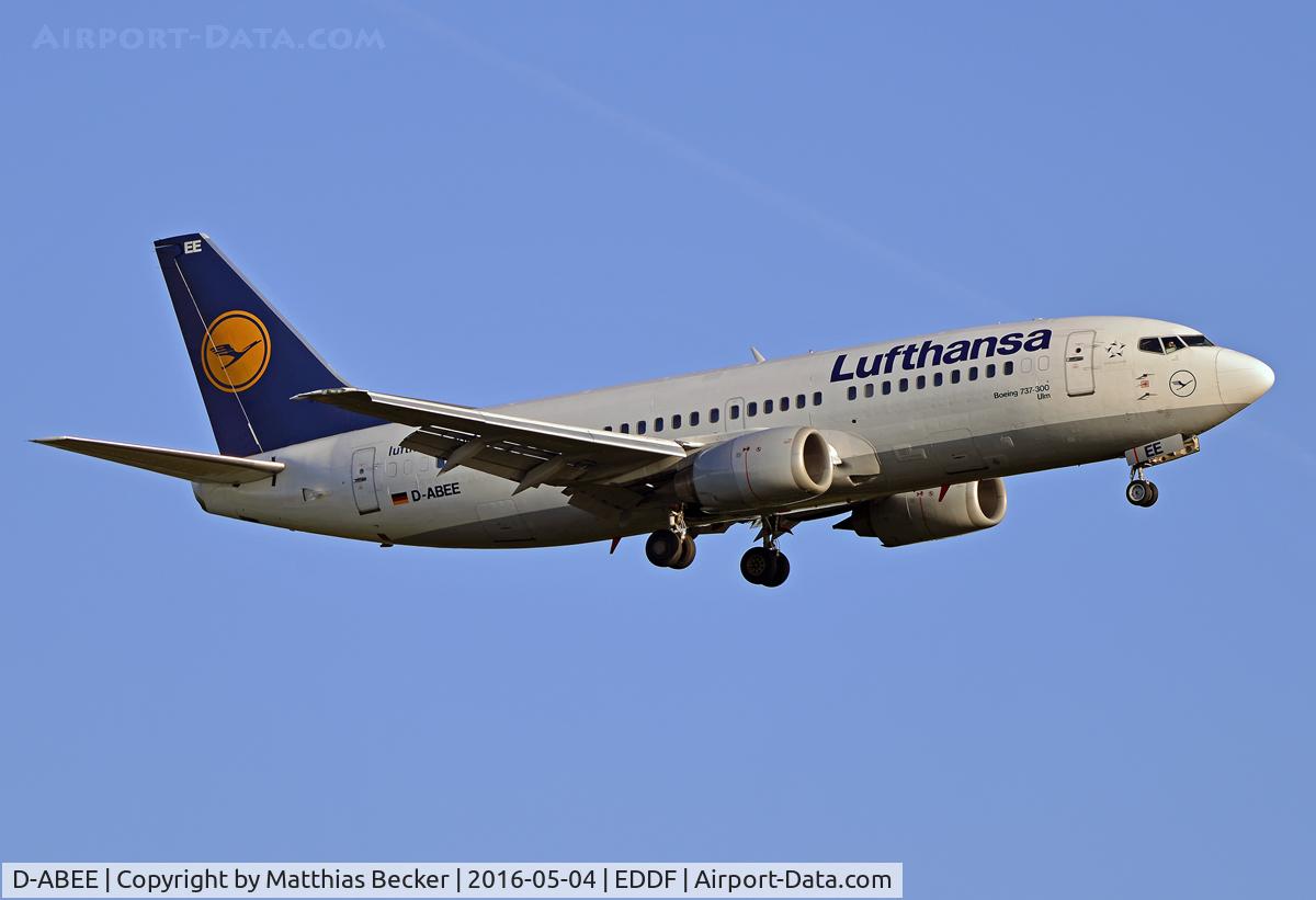 D-ABEE, 1991 Boeing 737-330 C/N 25216, D-ABEE