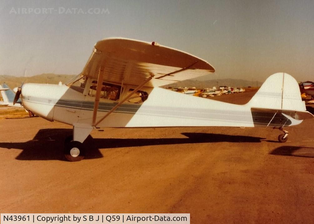 N43961, 1946 Taylorcraft BC12-D C/N 7620, 961 at the old Fremont airport in Calif. as I was getting it ready to sell, something I regret (selling it) to this very day! As it turned out,it was everything I ever wanted in an airplane.