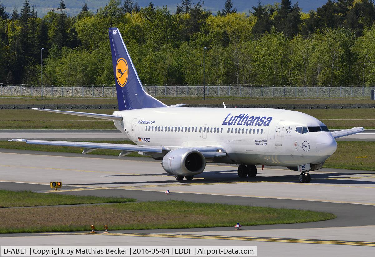 D-ABEF, 1991 Boeing 737-330 C/N 25217, D-ABEF