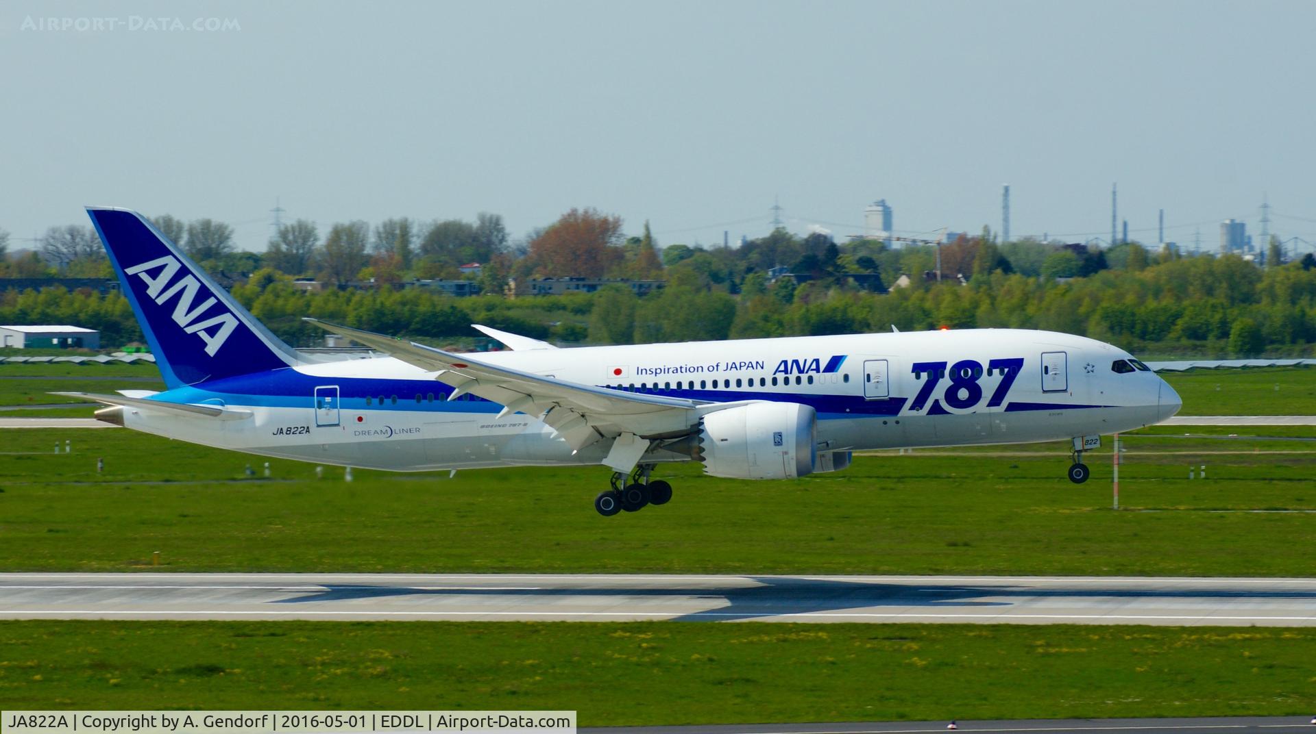 JA822A, 2013 Boeing 787-8 Dreamliner C/N 34512, ANA, is here landing at Düsseldorf Int'l(EDDL)