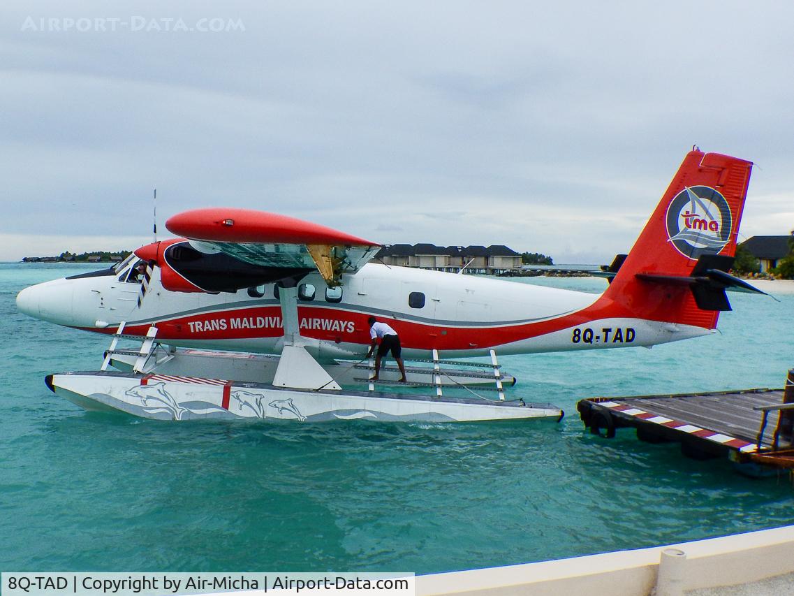 8Q-TAD, 1980 De Havilland Canada DHC-6-300 Twin Otter C/N 701, Trans Maldivian Airways