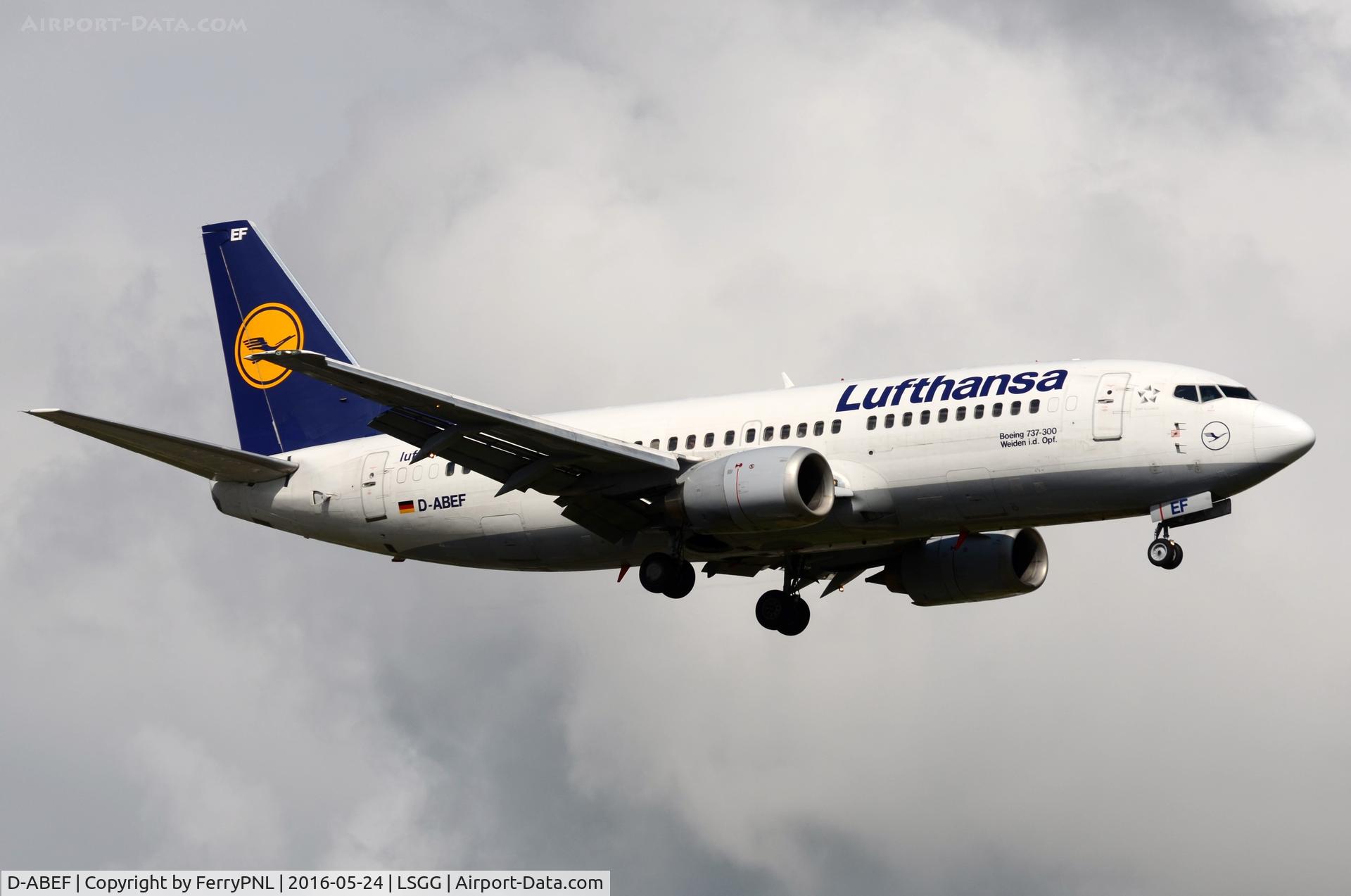 D-ABEF, 1991 Boeing 737-330 C/N 25217, Lufthansa B733 landing in GVA
