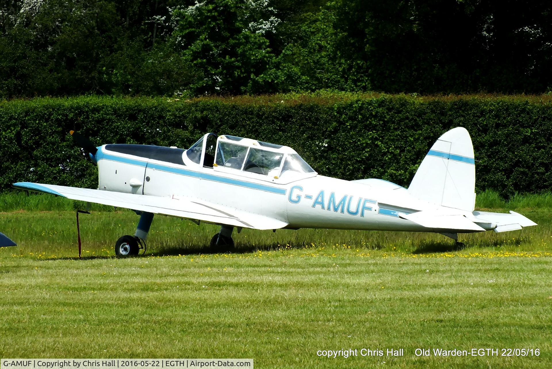 G-AMUF, 1952 De Havilland DHC-1 Chipmunk 21 C/N C1/0832, 70th Anniversary of the first flight of the de Havilland Chipmunk  Fly-In at Old Warden