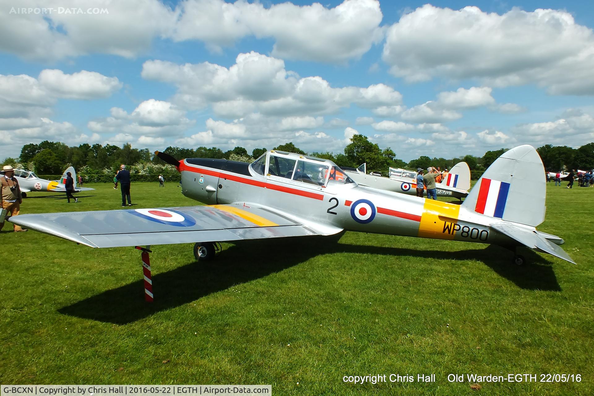G-BCXN, 1952 De Havilland DHC-1 Chipmunk T.10 C/N C1/0692, 70th Anniversary of the first flight of the de Havilland Chipmunk  Fly-In at Old Warden