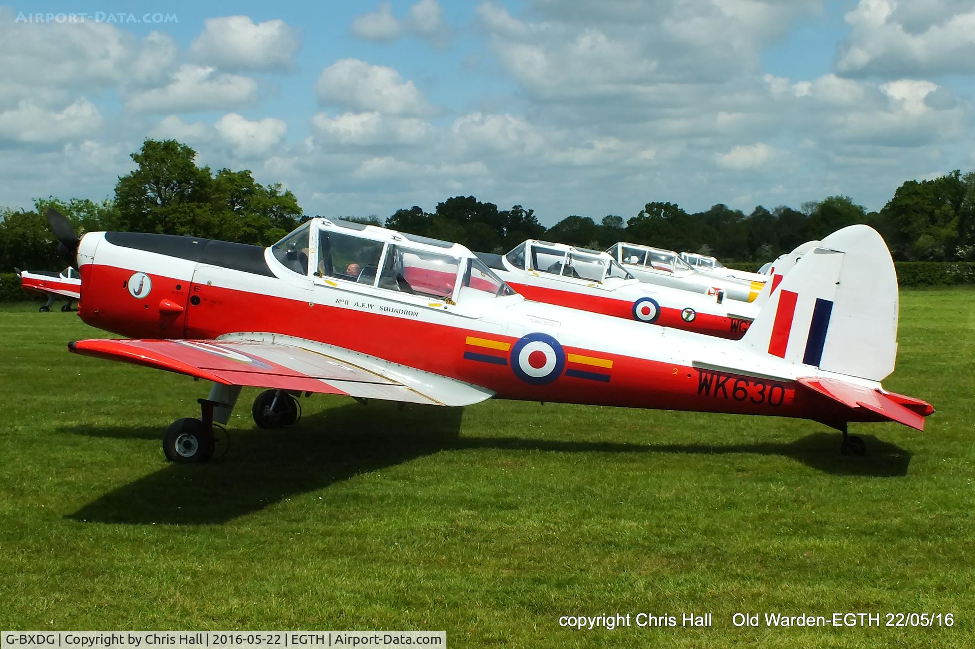 G-BXDG, 1950 De Havilland DHC-1 Chipmunk T.10 C/N C1/0644, 70th Anniversary of the first flight of the de Havilland Chipmunk  Fly-In at Old Warden