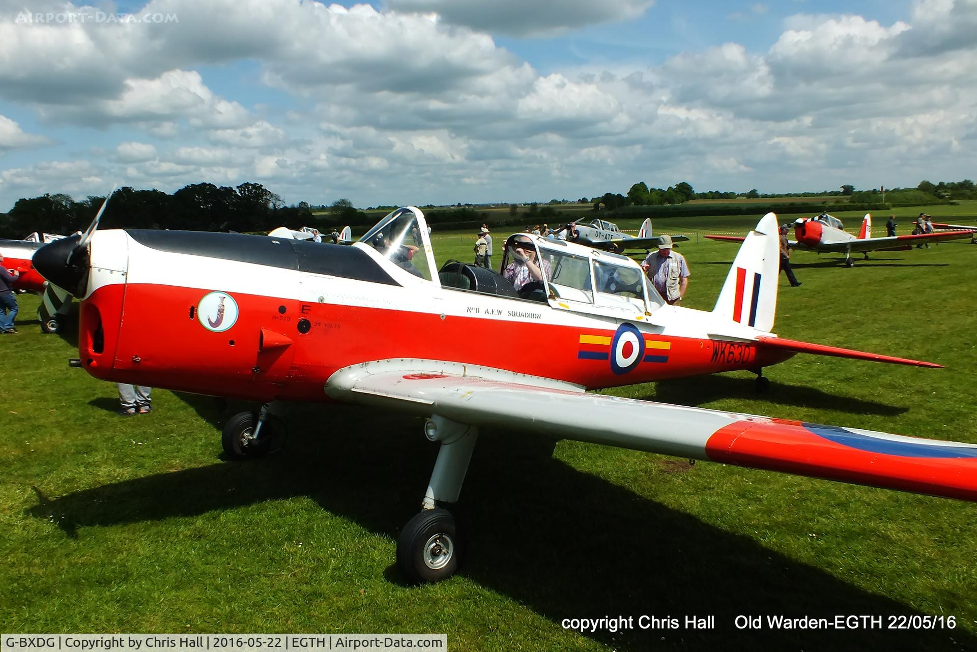 G-BXDG, 1950 De Havilland DHC-1 Chipmunk T.10 C/N C1/0644, 70th Anniversary of the first flight of the de Havilland Chipmunk  Fly-In at Old Warden