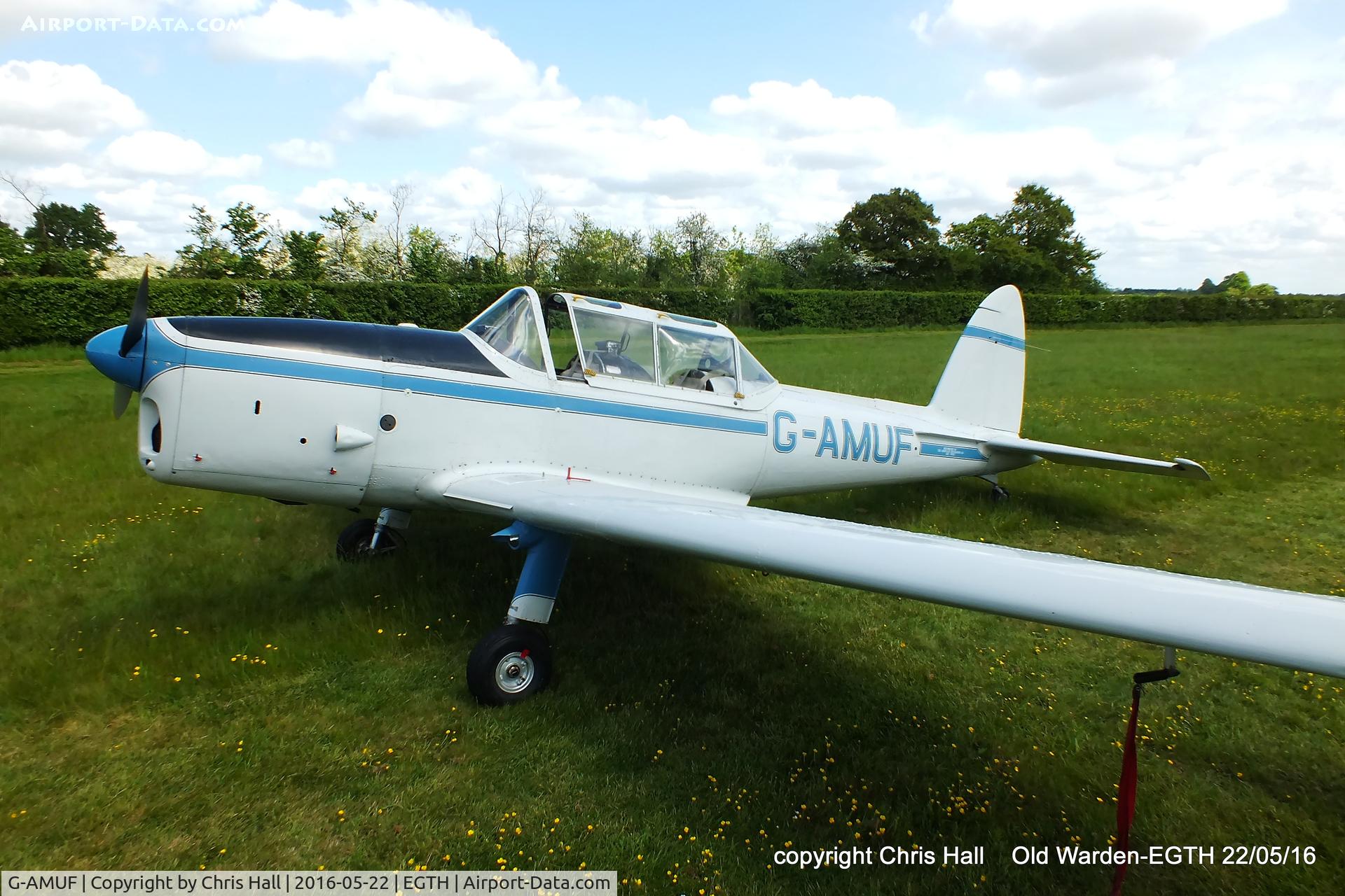 G-AMUF, 1952 De Havilland DHC-1 Chipmunk 21 C/N C1/0832, 70th Anniversary of the first flight of the de Havilland Chipmunk Fly-In at Old Warden