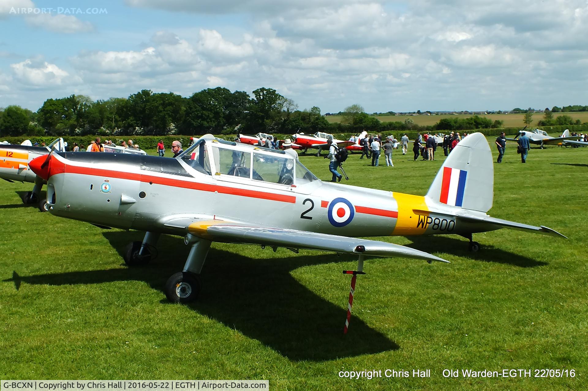 G-BCXN, 1952 De Havilland DHC-1 Chipmunk T.10 C/N C1/0692, 70th Anniversary of the first flight of the de Havilland Chipmunk Fly-In at Old Warden