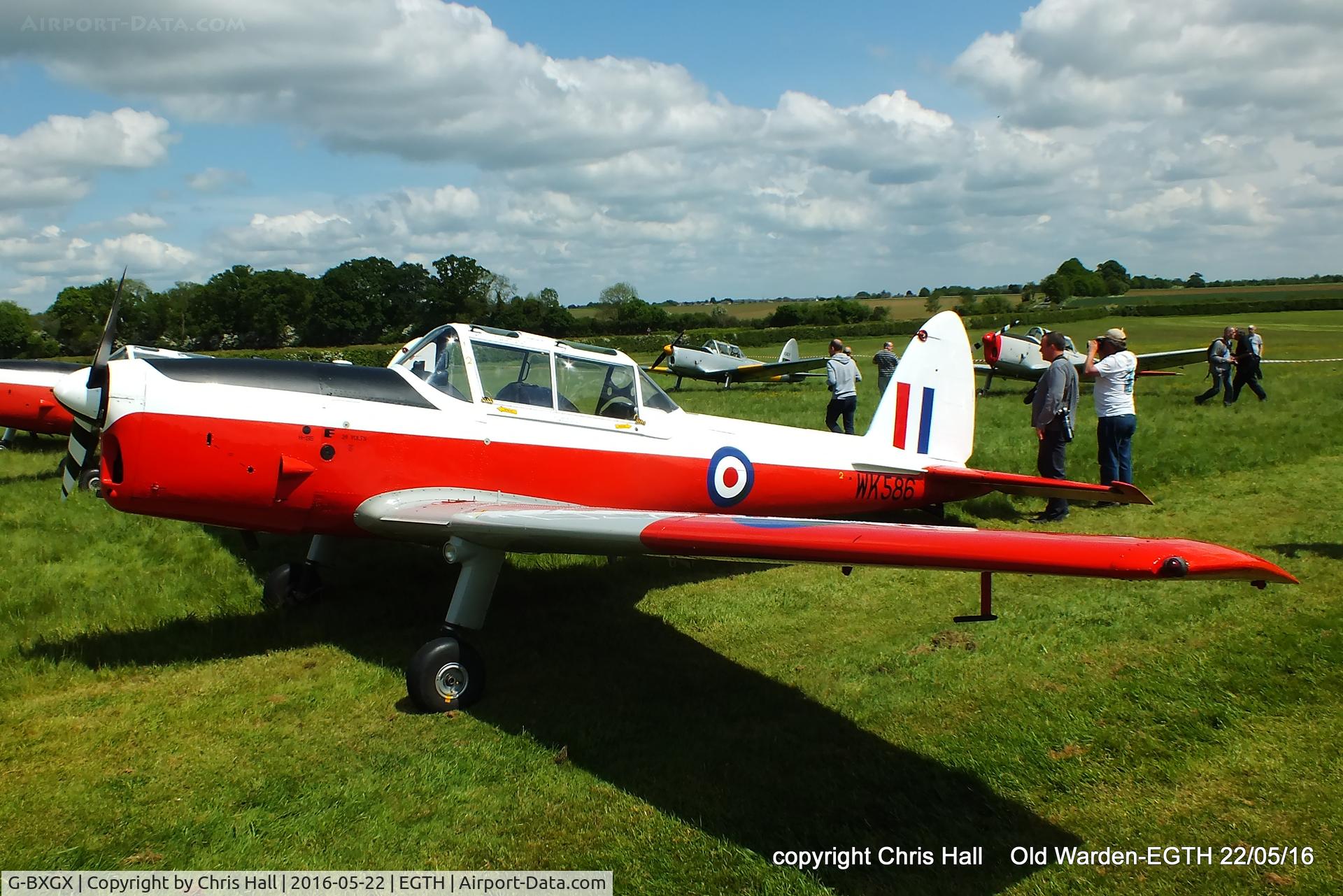 G-BXGX, 1952 De Havilland DHC-1 Chipmunk T.10 C/N C1/0609, 70th Anniversary of the first flight of the de Havilland Chipmunk Fly-In at Old Warden