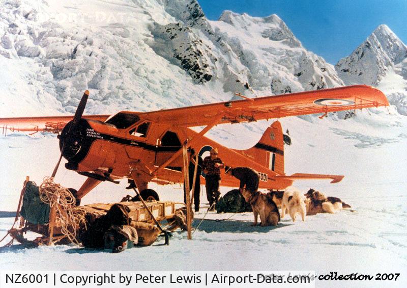 NZ6001, 1956 De Havilland Canada DHC-2 Beaver C/N 911, RNZAF Antarctic Flight