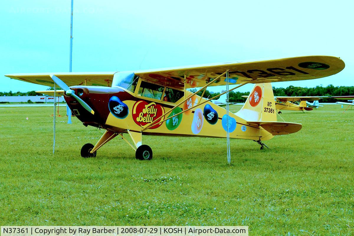 N37361, 1941 Interstate S-1A-65F Cadet C/N 204, Interstate S-1A Cadet [204] Oshkosh-Wittman Regional~N 29/07/2008