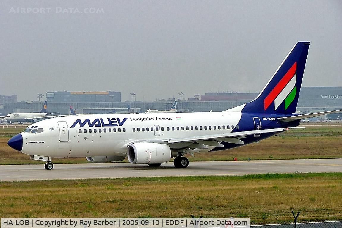 HA-LOB, 2003 Boeing 737-7Q8 C/N 29346, Boeing 737-7Q8 [29346] (MALEV) Frankfurt~D 10/09/2005