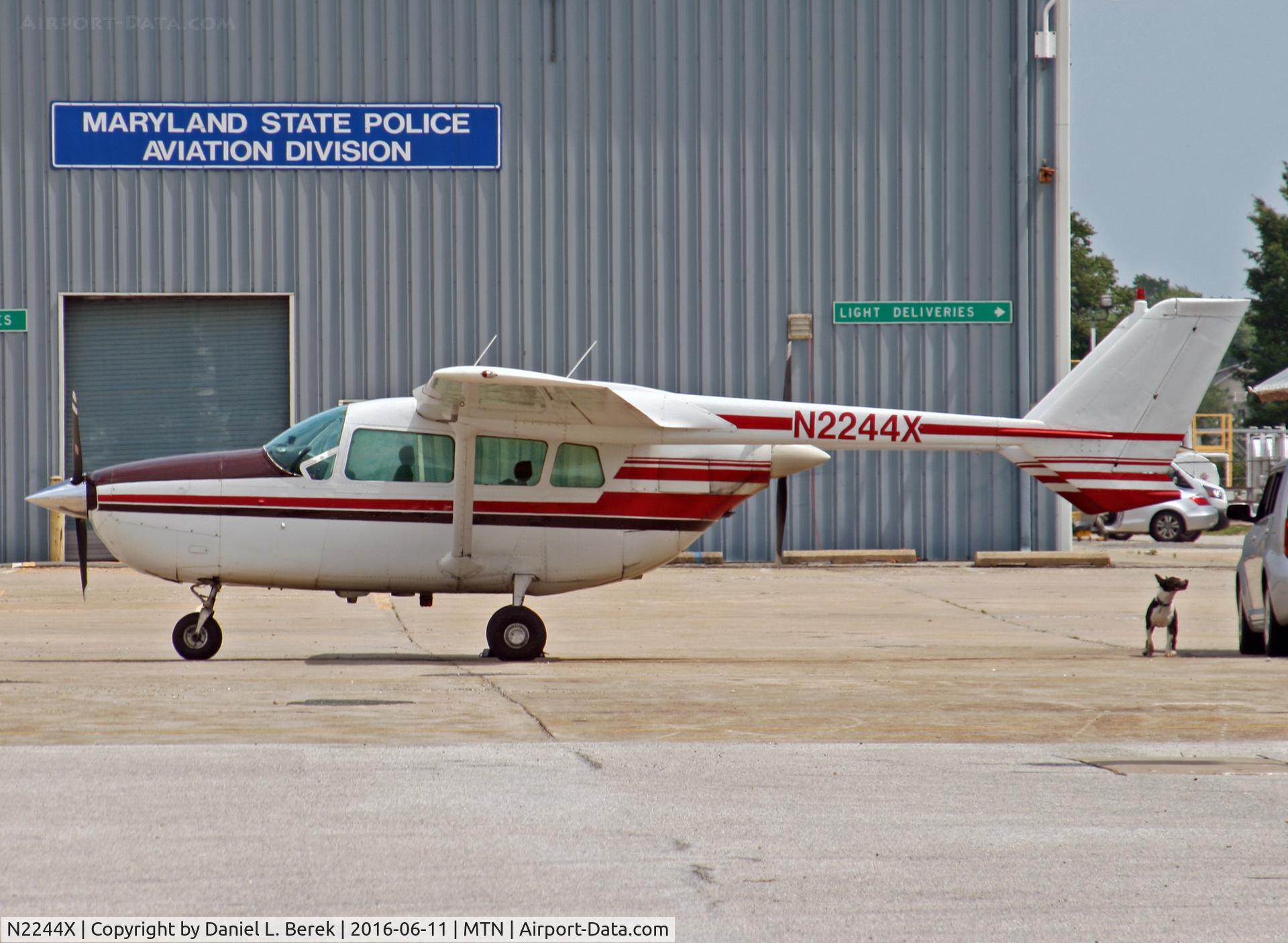 N2244X, 1965 Cessna 337 Super Skymaster C/N 337-0144, A Boston terrier feigns disinterest in the 1965 Cessna 337 Super Skymaster.