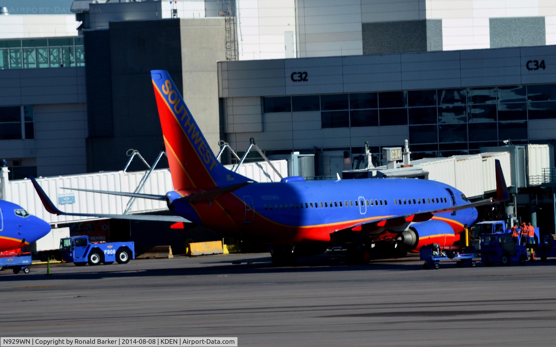 N929WN, 2008 Boeing 737-7H4 C/N 36631, Gate C34 Denver