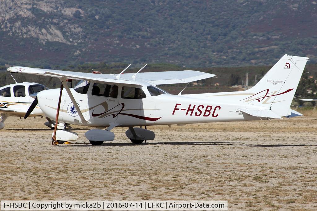 F-HSBC, 2008 Cessna 172S C/N 172S-10727, Parked