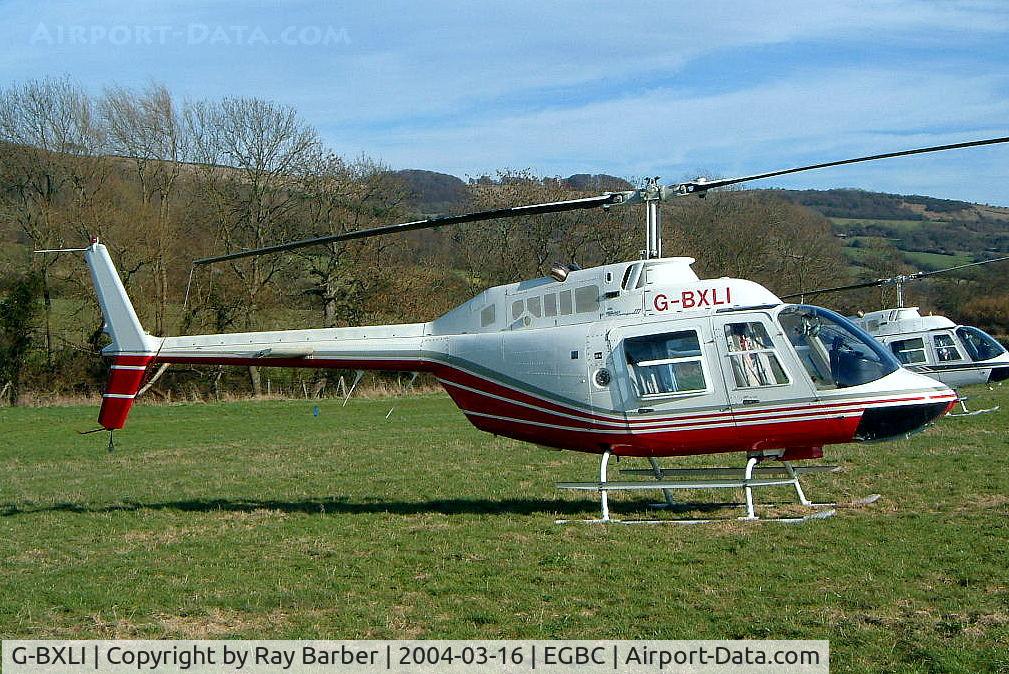 G-BXLI, 1989 Bell 206B JetRanger III C/N 4041, Bell 206B-3 Jet Ranger III [4041] Cheltenham Racecourse~G 16/03/2004