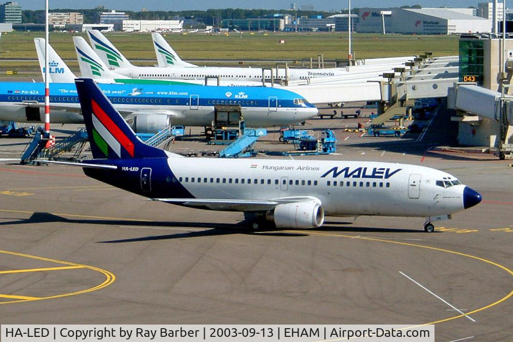 HA-LED, 1991 Boeing 737-3Y0 C/N 24909, Boeing 737-3V0 [24909] (MALEV) Amsterdam-Schiphol~PH 13/09/2003