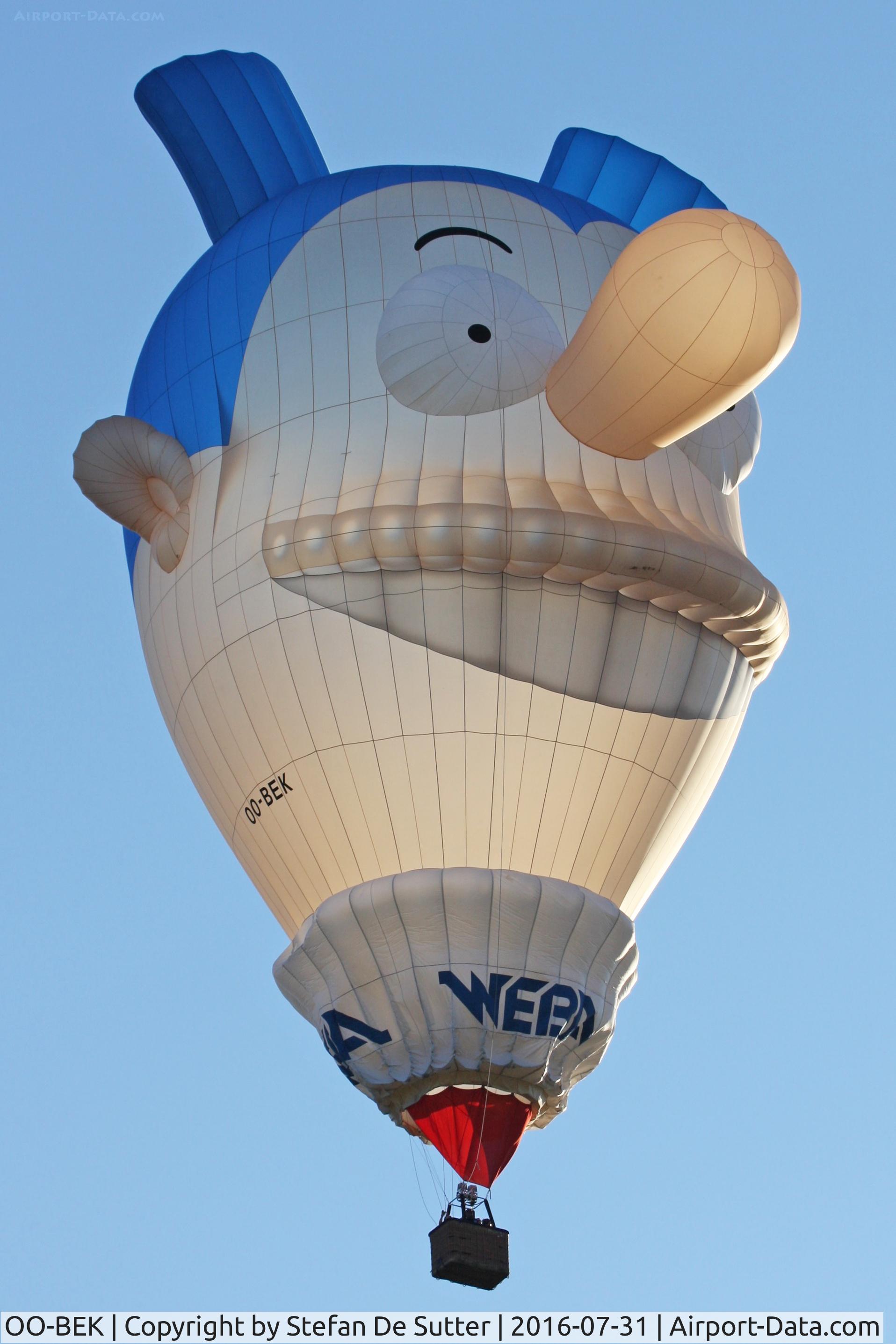 OO-BEK, 2013 Cameron Head 2-120 C/N 11744, Balloonmeeting Eeklo 2016.