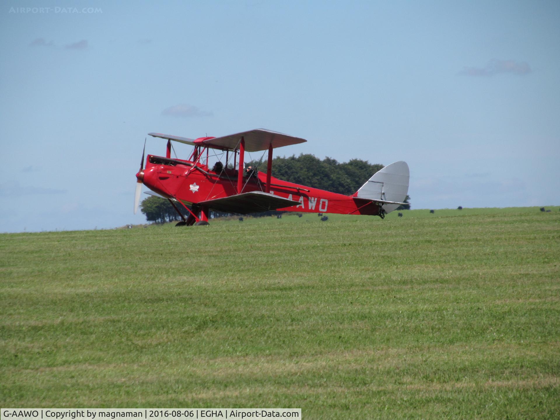 G-AAWO, 1930 De Havilland DH60G Gipsy Moth C/N 1235, touchdown on the grass