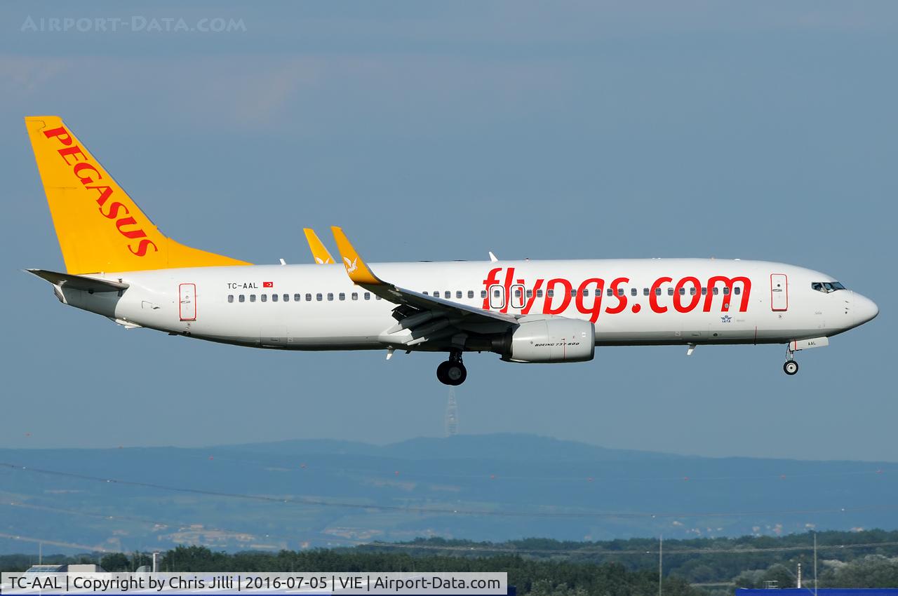 TC-AAL, 2009 Boeing 737-82R C/N 35984, Pegasus