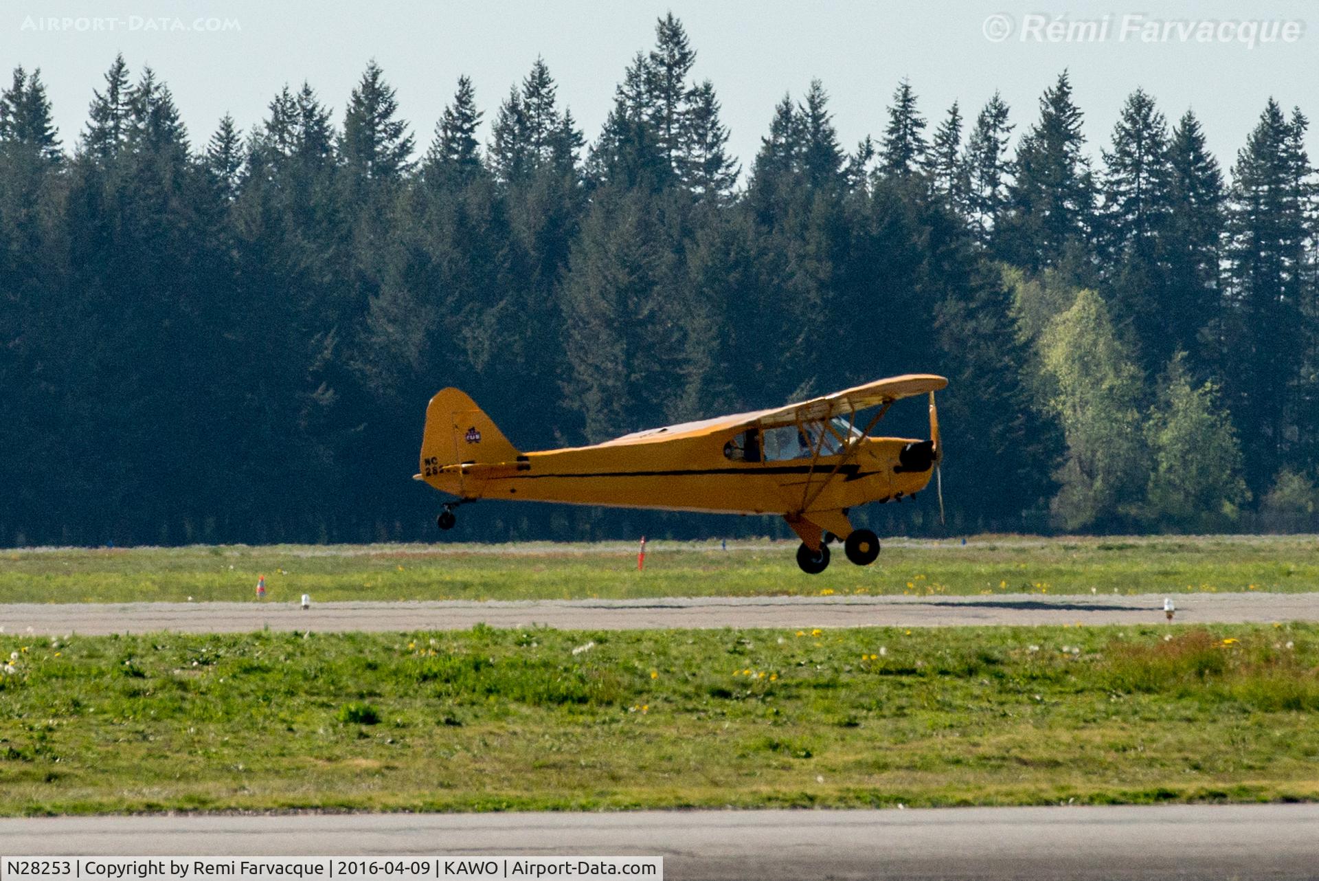 N28253, 1940 Piper J3F-60 C/N 4650, Northbound take-off.