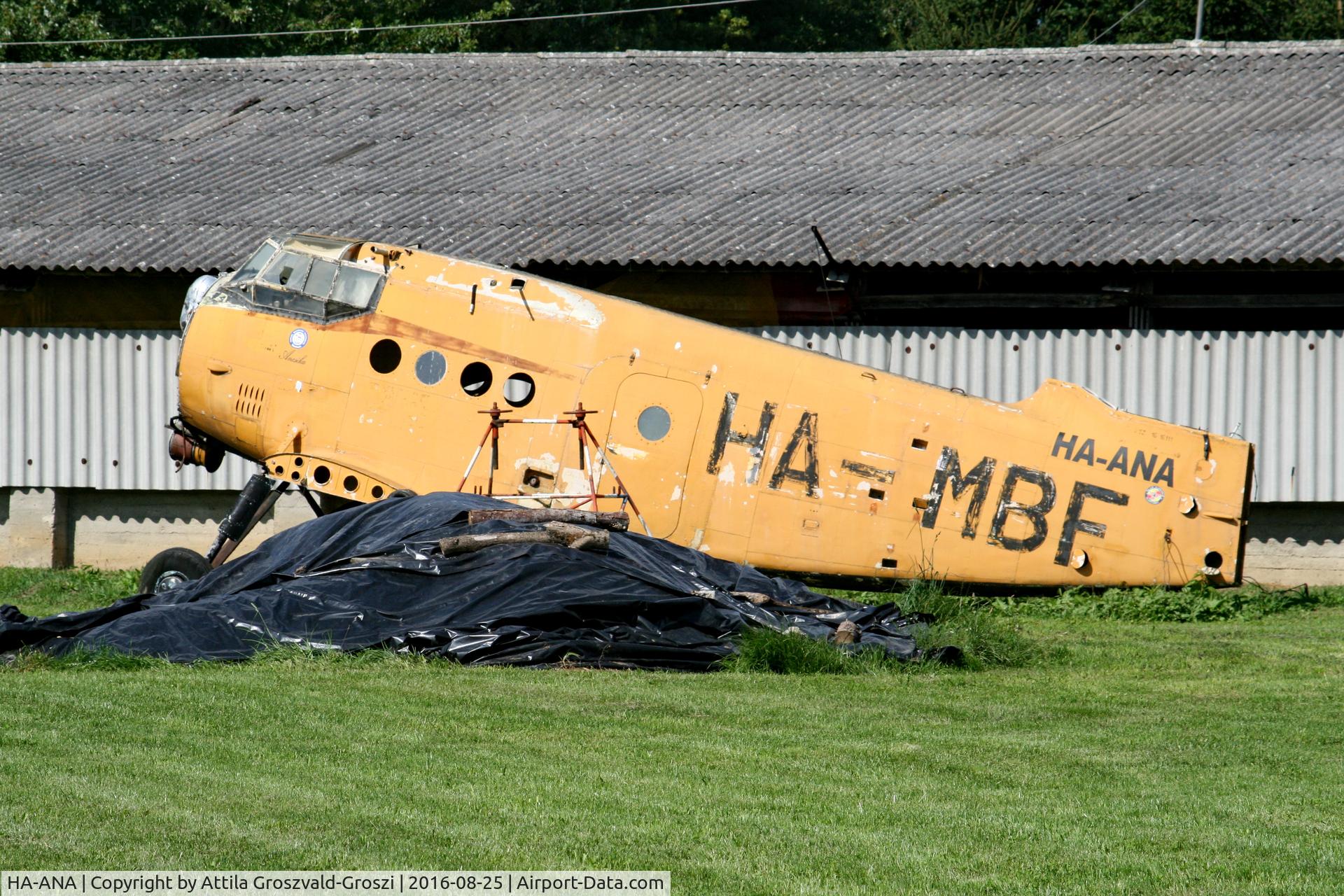 HA-ANA, 1975 PZL-Mielec An-2R C/N 1G161-11, Kadarkút Airfield, Hungary