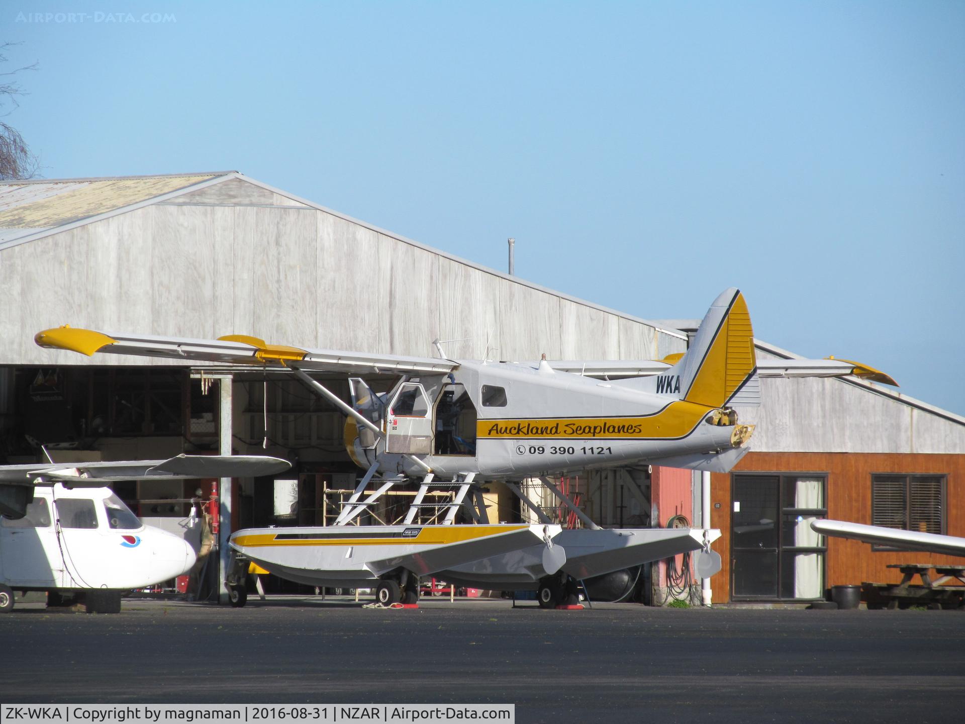 ZK-WKA, 1965 De Havilland Canada DHC-2 Beaver Mk.I C/N 1585, in sun - having a check out