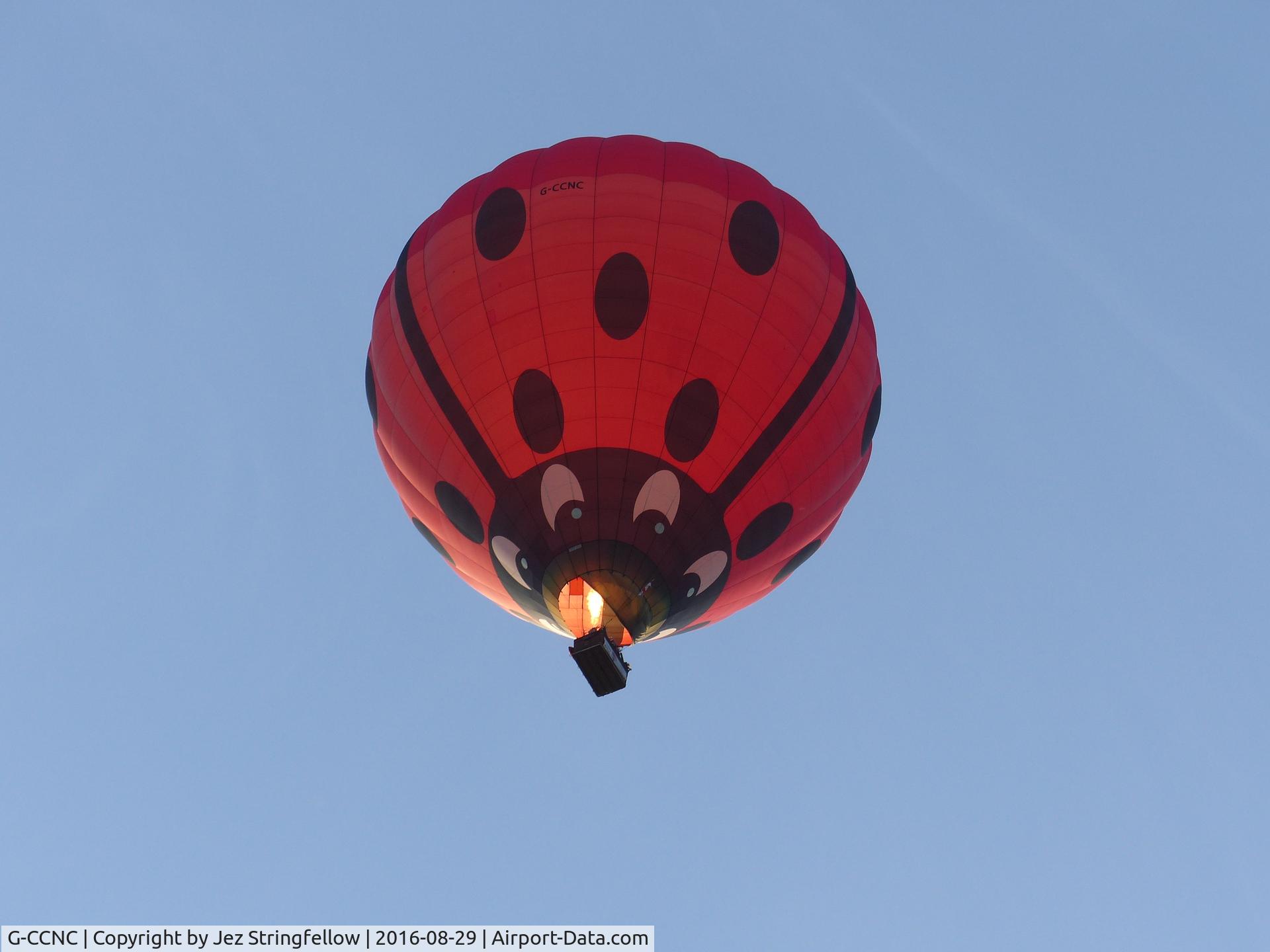 G-CCNC, 2003 Cameron Balloons Z-275 C/N 10504, Ladybird  Balloon